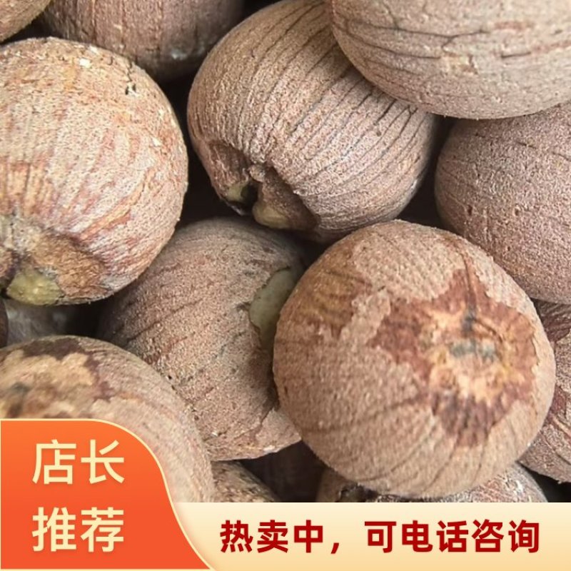 湖南湘潭大圆莲湘莲精品货源广东广州荔湾区直发