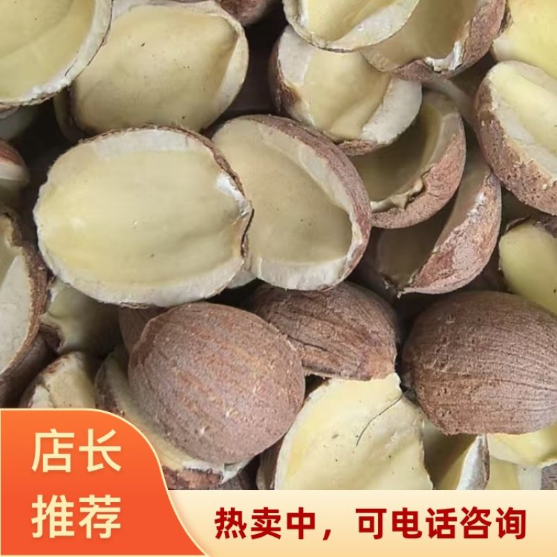 湖南湘潭红边莲当年新货保质保量广东荔湾区大量现货发全国