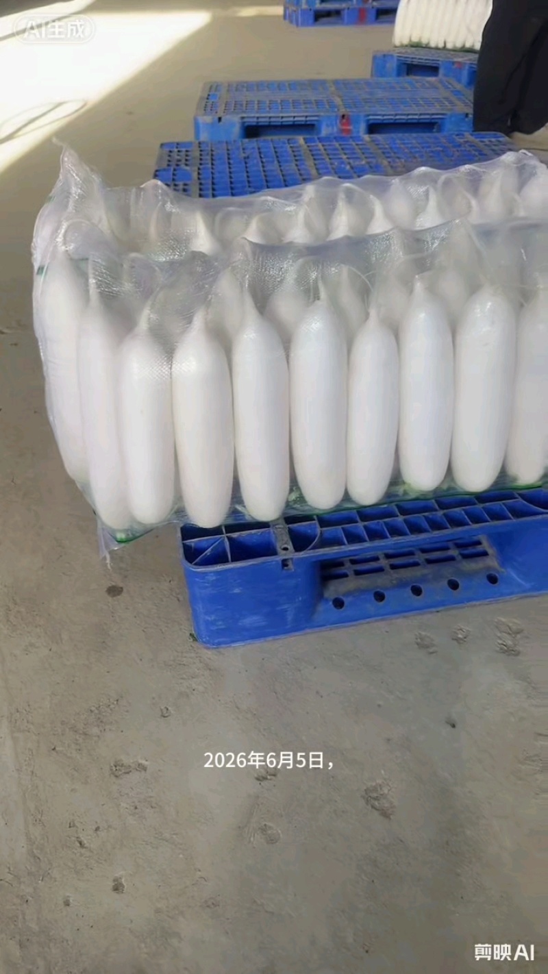 陕西榆林白萝卜大量有货，新鲜量大，长期供应，条形好