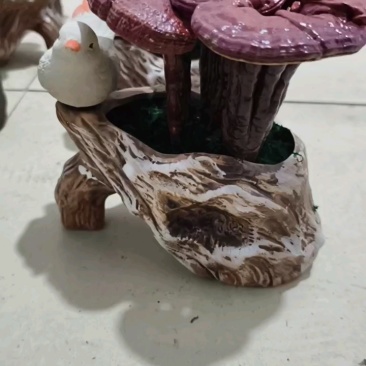 灵芝花观赏灵芝盆景产地直发批发零售量大从优