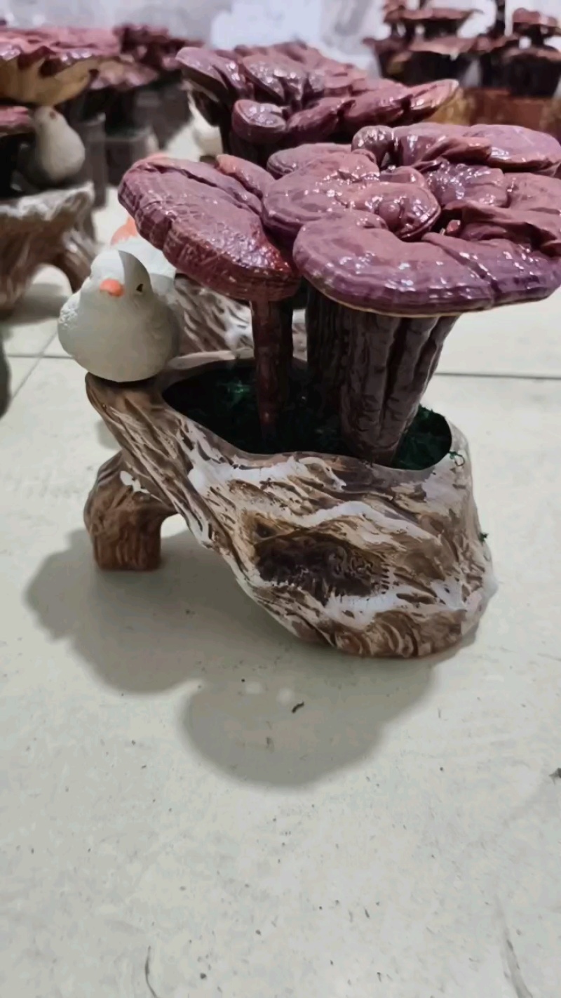 灵芝花观赏灵芝盆景产地直发批发零售量大从优