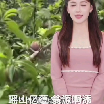 翁源三华李