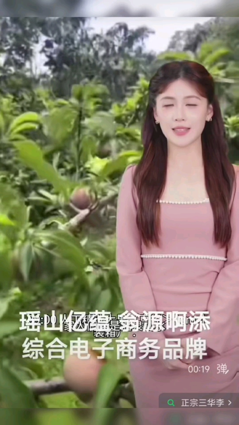 翁源三华李