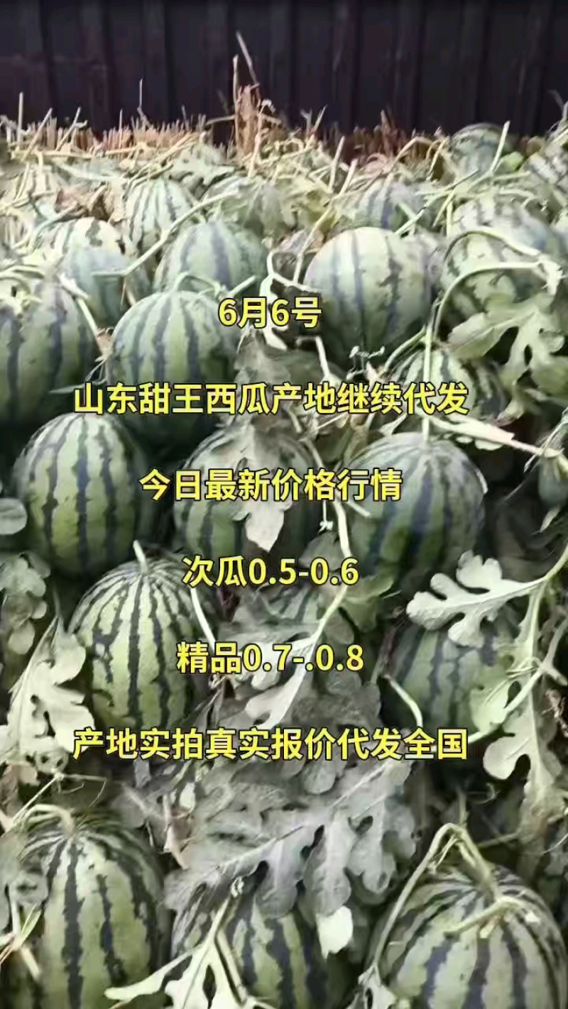 甜王西瓜！保甜保熟！8斤打底9成熟1茬产地直供