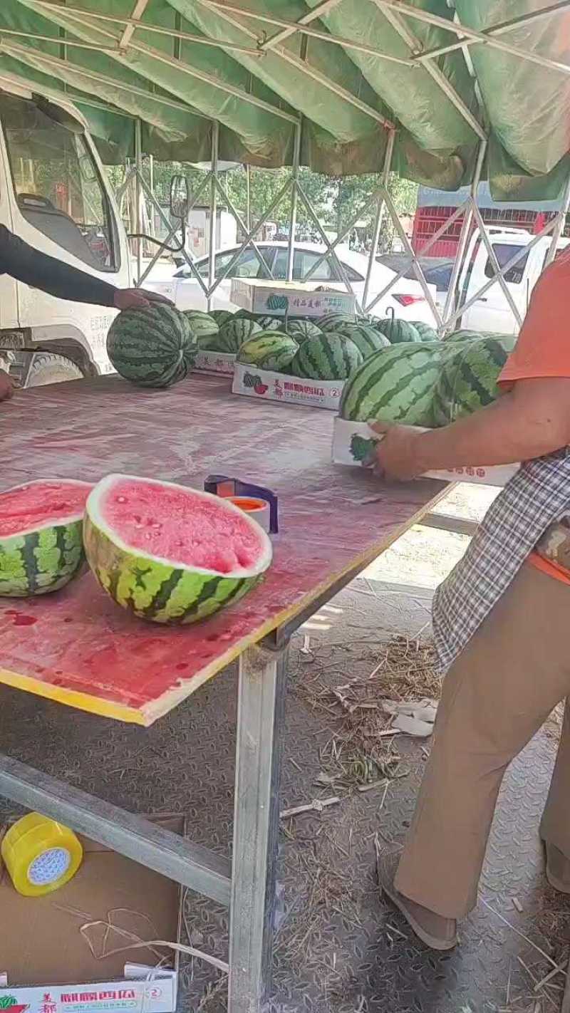 夏邑无籽麒麟西瓜/麒麟西瓜/无籽西瓜大量供应一手货源
