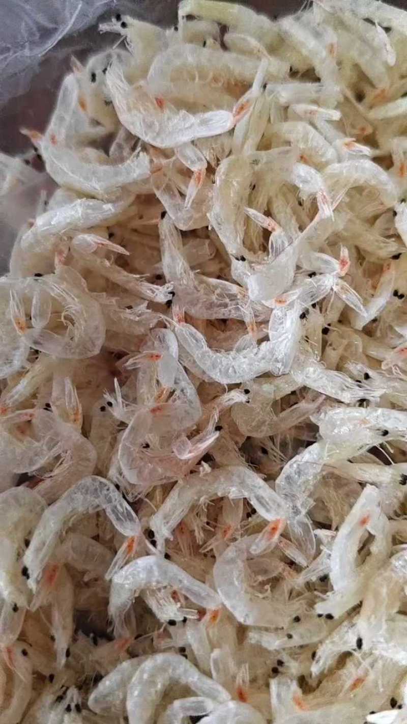 虾皮