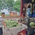 【精品无籽美都西瓜】陕西大棚基地直供一手货源保质保量欢迎