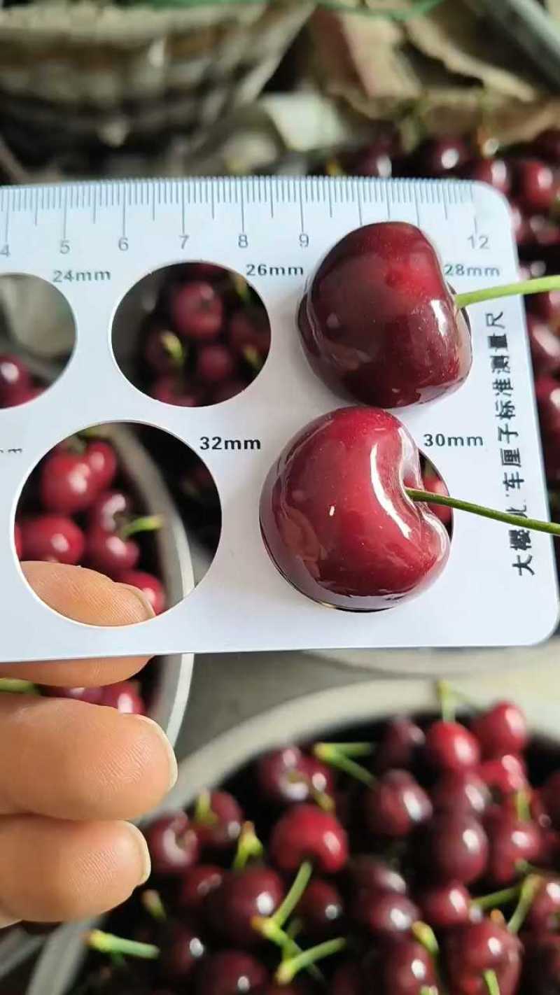 车厘子四川樱桃车厘子，产地一手货源，保质保量，价格可谈