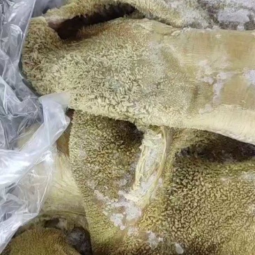 【品质保障】山东纯干牛肚，干净无油，牛肚大品质好出成率高