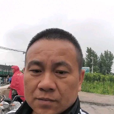 杏，凯特杏，河北大甜杏大量上市，凯特杏，麦黄杏