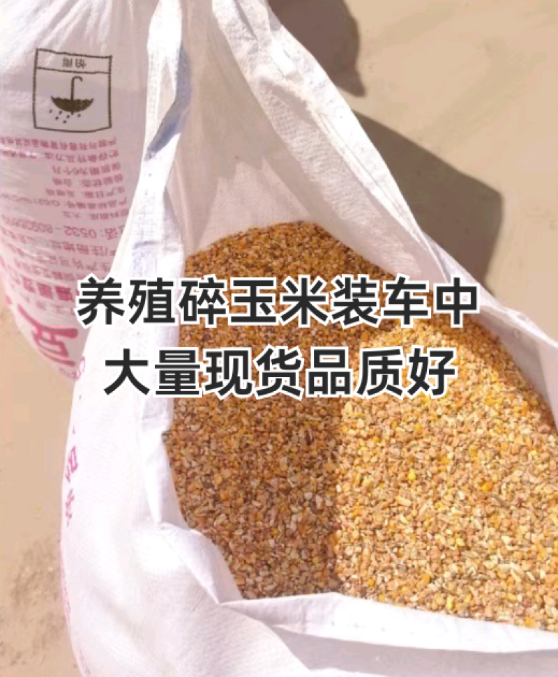 精品碎玉米净粮无土无沙，无霉变，过筛除尘