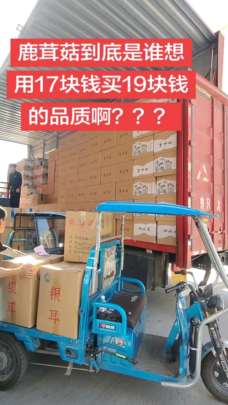 包邮【净重发货】鹿茸菇干货煲汤炖汤食材***家用菌类