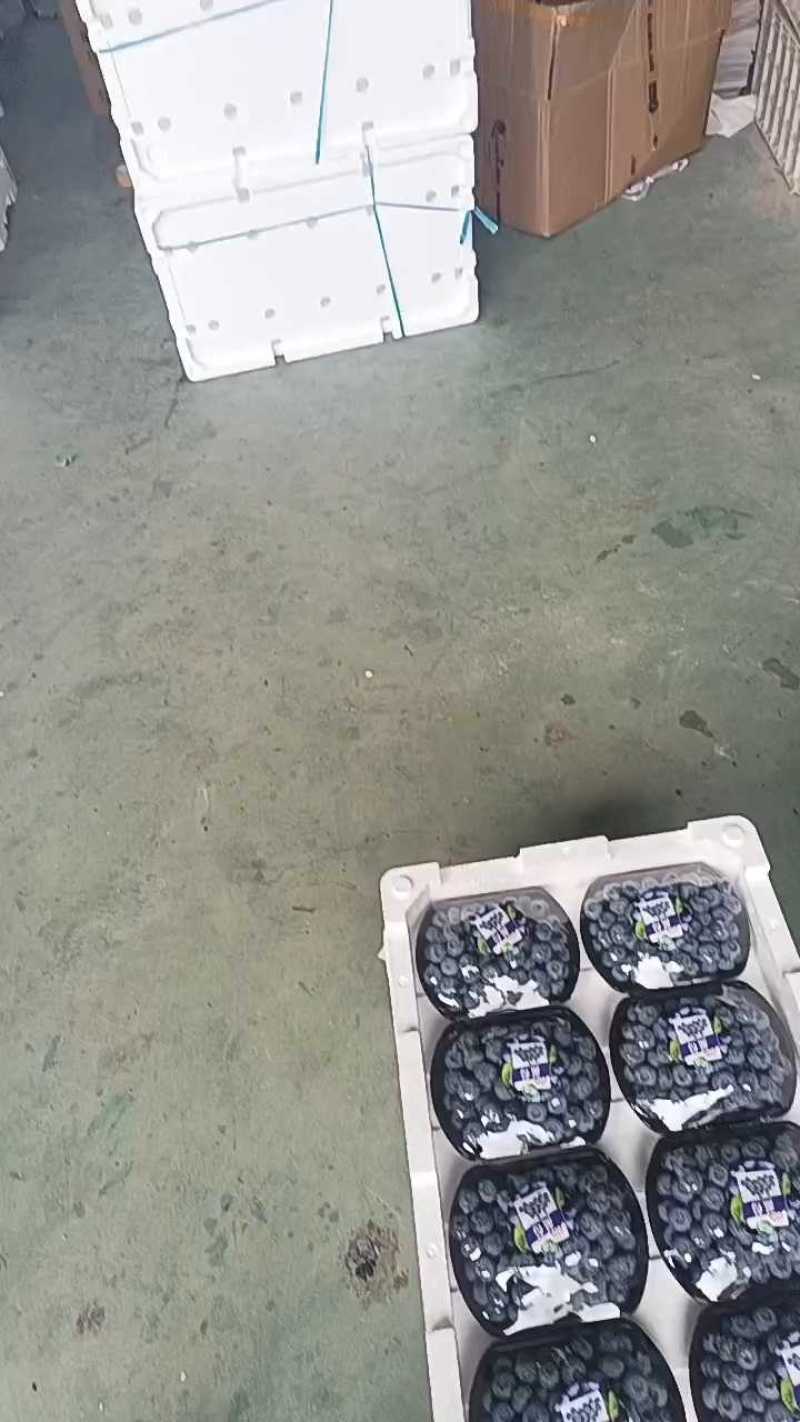 推荐【蓝莓】产地批发一手货源保质保量全国发货