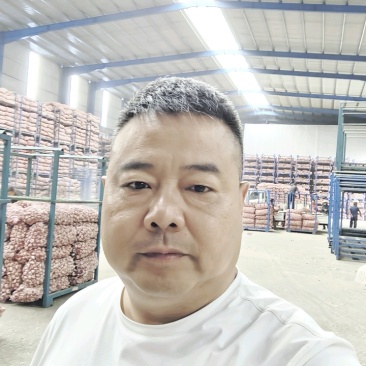 精品大蒜金乡大蒜太空蒜电商平台蒜一手货源保证质量