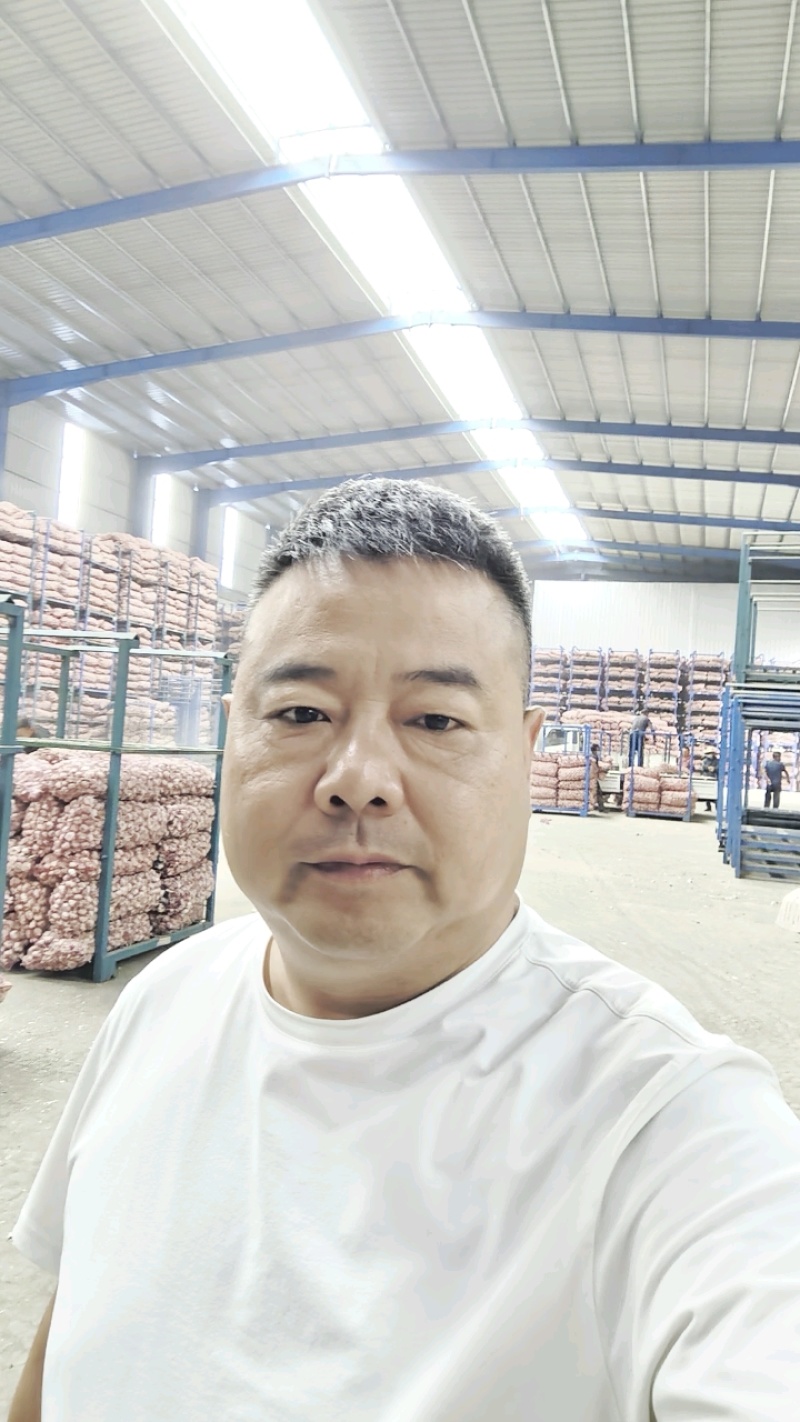 精品大蒜金乡大蒜太空蒜电商平台蒜一手货源保证质量