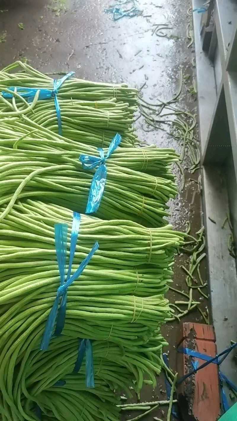 长豆角青条豆角缸豆产地看货论价保质保量欢迎订购