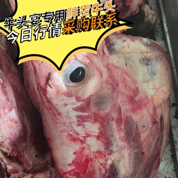 牛头清真鲜货/冷冻
