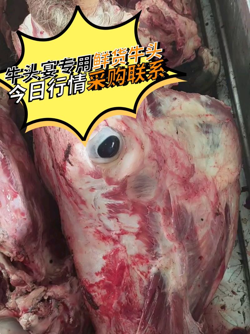 牛头清真鲜货/冷冻