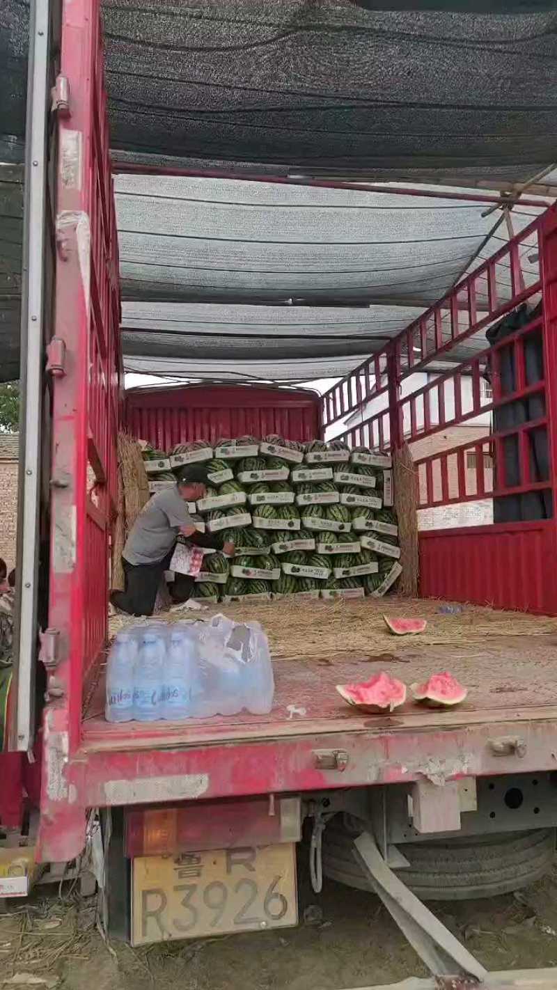 精品8424西瓜无籽产地一手货源现摘现发包熟包甜糖度15！