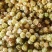东北甜姑茑果新鲜灯笼果黄姑娘果大量供应品质优可视频看货