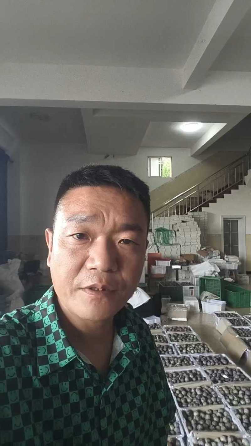 宜宾五月脆即将大量上市，支持一件代发，质量保证