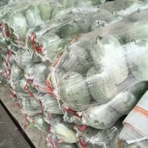 水果冬瓜大量上市，产地供应价格美丽质量好有需要的联系