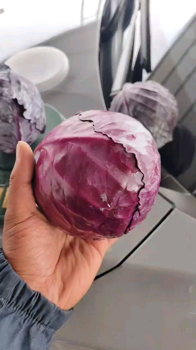 甘肃张掖冷库紫甘蓝