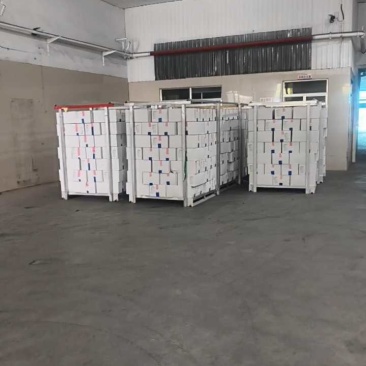 纯干一级排翅鸡翅单冻不泡发国产鸡副产品新鲜