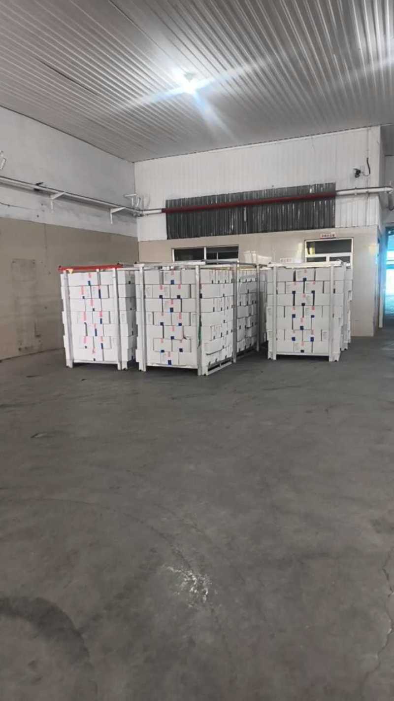 纯干一级排翅鸡翅单冻不泡发国产鸡副产品新鲜