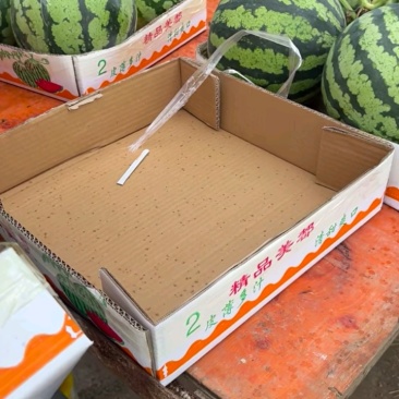 永城西瓜【精品头茬无籽美都麒麟西瓜】保质保量对接全国