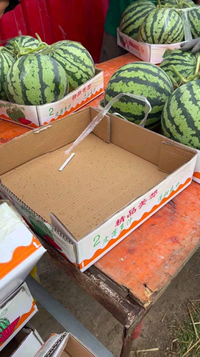 永城西瓜【精品头茬无籽美都麒麟西瓜】保质保量对接全国