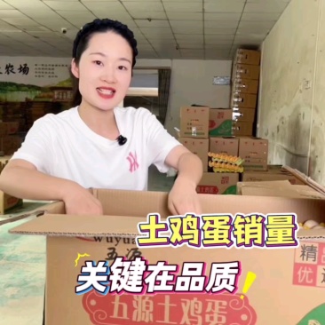 180-360枚京山散养土鸡蛋基地直供,现捡现发