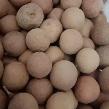 电商对接桂圆干龙眼干肉厚核小规格齐全品质保证