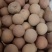 电商对接桂圆干龙眼干肉厚核小规格齐全品质保证
