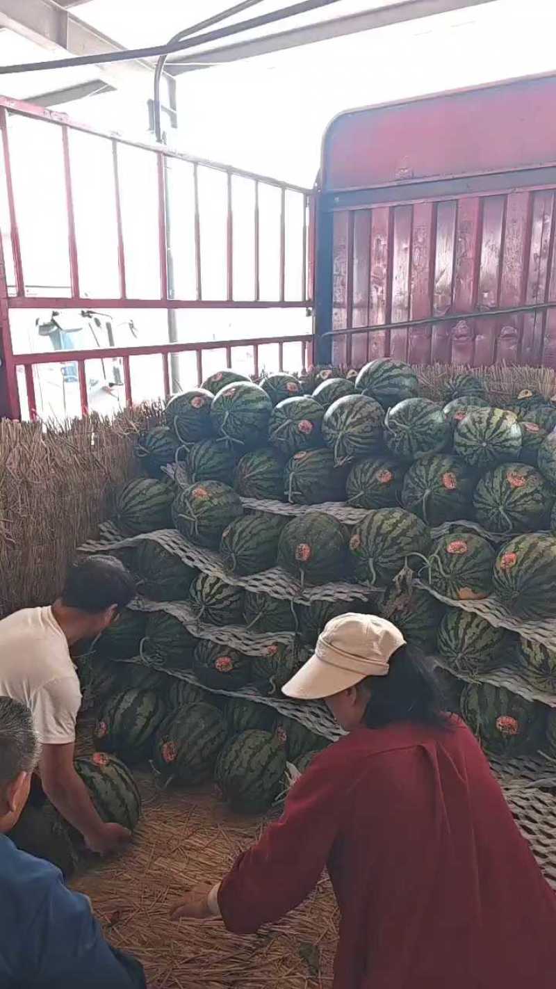 精品大棚甜王西瓜，包甜对接电商市场各大平台全国发货欢迎联系