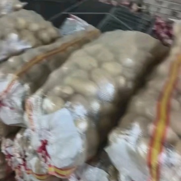 河南黄心土豆大量接单产地直发量大从优欢迎来电
