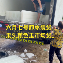 广西浦北县妃子笑荔#产地大量有货源，接待全国商超市场