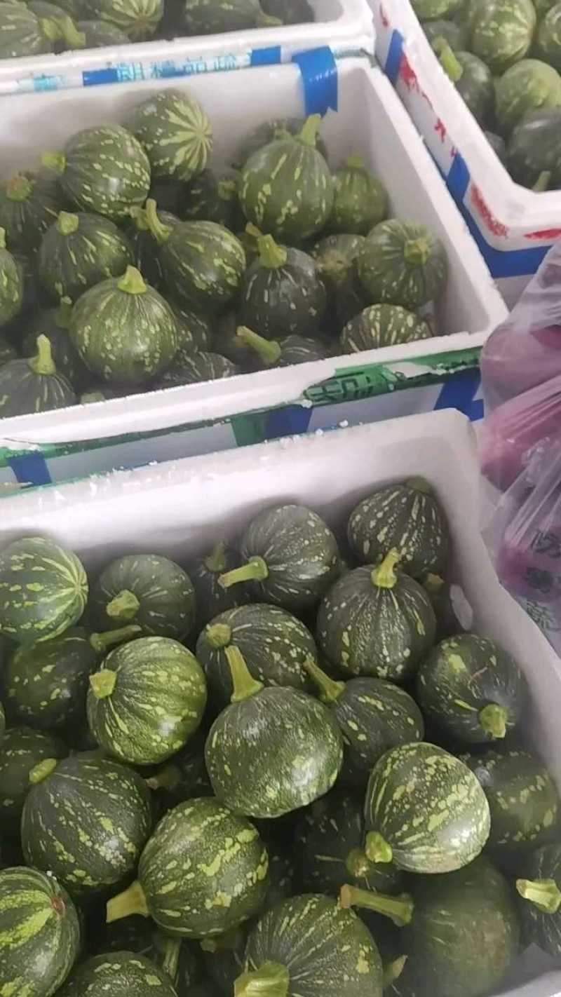 湖北小南瓜，南瓜，产地看货，产地供应，量大从优，欢迎订购