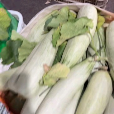 羊角蜜甜瓜山东临沂市费县精品头茬羊角蜜量很大欢迎采购。