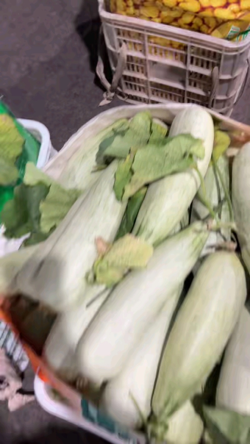 羊角蜜甜瓜山东临沂市费县精品头茬羊角蜜量很大欢迎采购。