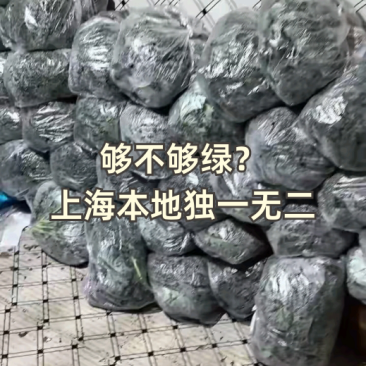 羽衣甘蓝