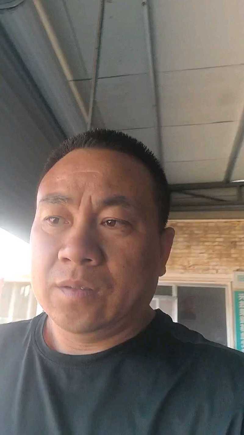 杏，凯特杏，河北大甜杏大量上市，凯特杏，麦黄杏