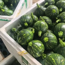 小南瓜嫩南瓜产地看货论价保质保量欢迎订购