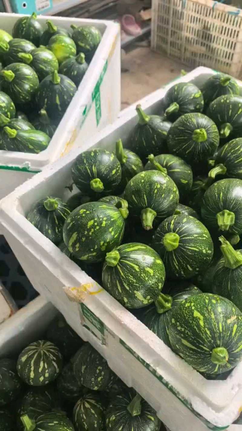 小南瓜嫩南瓜产地看货论价保质保量欢迎订购