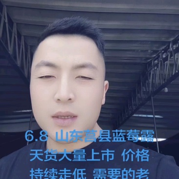 蓝莓山东花香L25纯甜蓝莓暖棚f6优惠卡L11