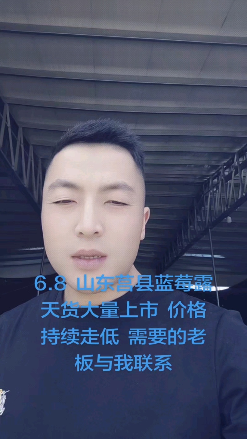 蓝莓山东花香L25纯甜蓝莓暖棚f6优惠卡L11