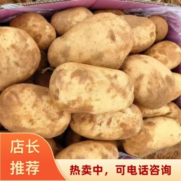 湖北襄阳土豆基地货源充足品种齐全沃土5号精品土豆批发