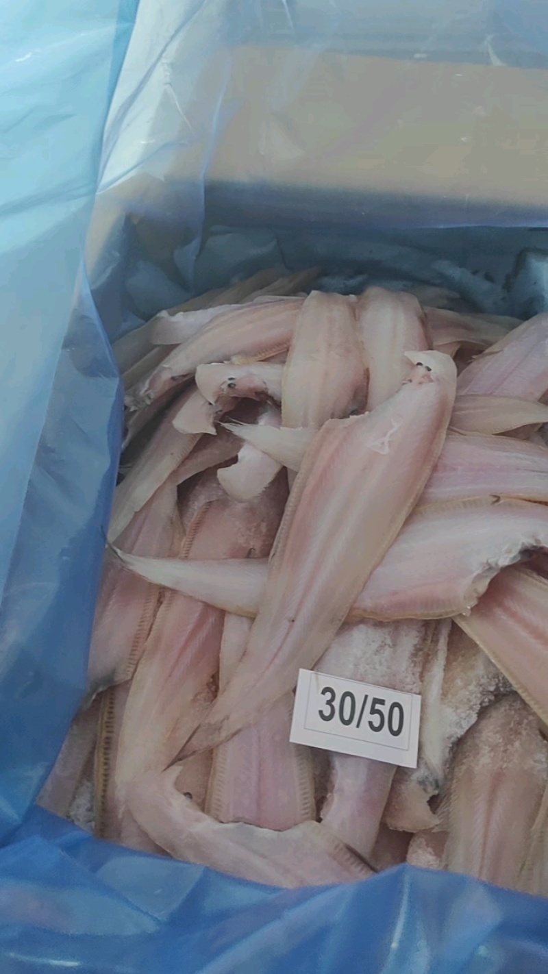 比目鱼鳎目鱼舌头鱼龙利鱼去皮去内脏