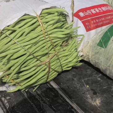 精品，大量有货质量三保需要可以联系