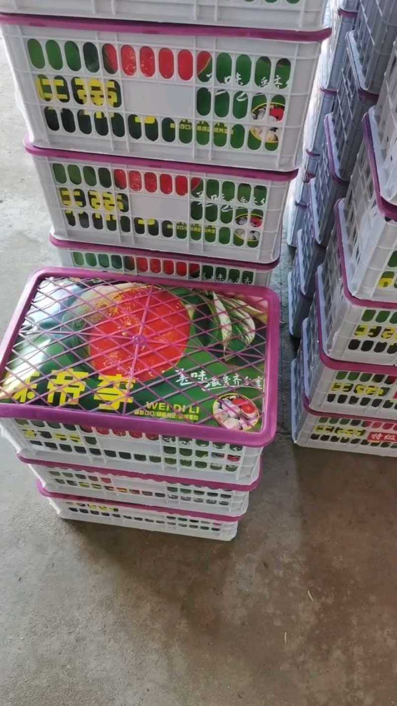 湖北露天李子精品包装，味帝李产地直供